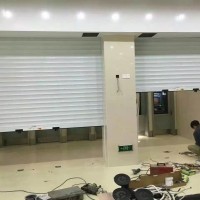 Bank Security Door