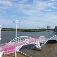Shanghai Dishui Lake Green Lotus Landscape Bridge