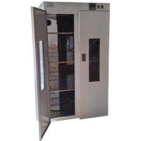 DHP- Electric Thermostatic Incubator