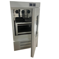 BS-1F Vertical Double-Layer Oscillating Incubator