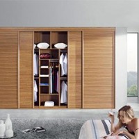 Custom Wardrobe 04 - 086