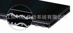 Special Processed Belt - 06