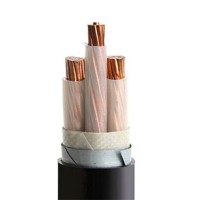 Power Cable - Model 05