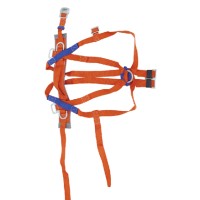 Safety Harness