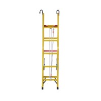 Lifting Ladder