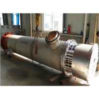 Corrosive Gas Electric Heater