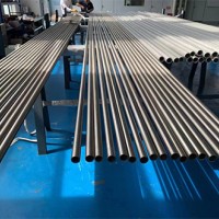 Hastelloy B-2 (UNS N10665) Nickel-Molybdenum Corrosion-Resistant Alloy