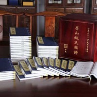 Shi Clan Genealogy of Mei Shan - Model 02